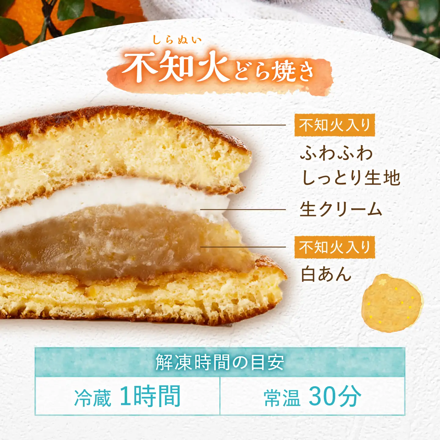 【毎月10個×3回定期便】生クリームどら焼き（3種）＜フレージュ近藤＞ [CDB003]