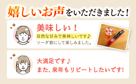 酢らり 果実酢 3本 ゆず/しそ/いちご 果実酢 お酢 ＜川添酢造＞ [CDN001]
