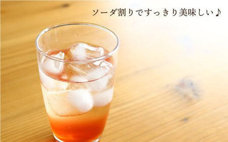 【3回定期便】 飲む玄米酢 酢らり ゆず/しそ/いちご 3本＜川添酢造＞ [CDN004] 果実酢