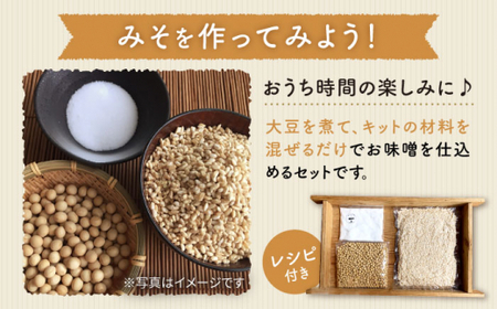 【手作りキット】【3回定期便】 無農薬 玄米麹 で仕込む『玄米 味噌 』＜川添酢造＞ [CDN068]