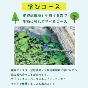 【ふるさと納税】森と触れ合いながら学べる！ワンヘルスコース 1名様体験チケット [a0413] 株式会社 FOREST DEN 【返礼品】添田町 ふるさと納税
