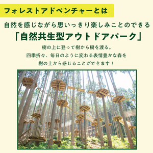 【ふるさと納税】家族みんなで楽しめる！キャノピーコース 1名様体験チケット [a0410] 株式会社 FOREST DEN 【返礼品】添田町 ふるさと納税