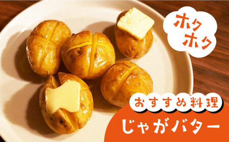 【先行予約】じゃがいも 10kg ＜ファームまるだ＞ CDT002 じゃがいも