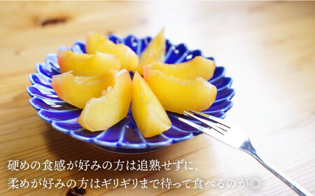 先行予約 プラム 貴陽 計2kg CEB002 スモモ