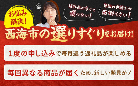 6回定期便 お肉と海 西海の宝物定期便 | [CZZ021] 定期便