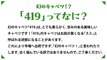 【 8月下旬発送開始 】 嬬恋 キャベツ と旬の 高原 野菜 セット 4人様 ファミリー向け [AK002tu]