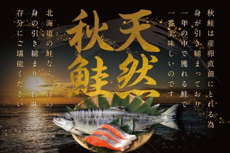 ★N15 こだわり熟成 秋 鮭 切り身 15切 個包装