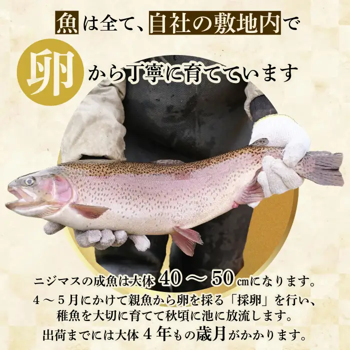 ぴっぷサーモン にじます 親子セット（イクラ80g×2・刺身用フィレ100g×3）【にじます工房】ニジマス 鱒 スライス ますいくら 鱒いくら イクラ いくら 魚卵 鱒卵 養殖 加工品 小分け 便利 北海道 比布町 ぴっぷ 1009-004