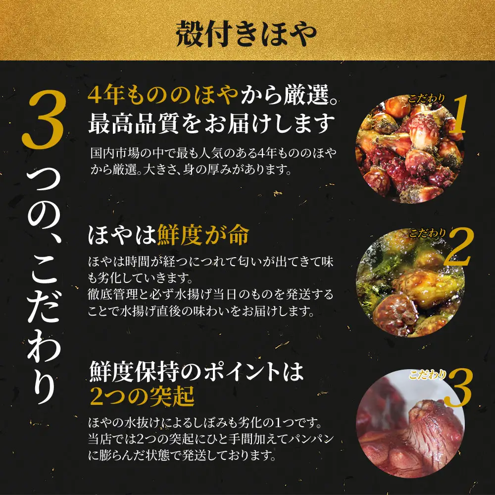 fn-39-019 殻付きほや 【5月中旬～7月末頃期間限定 お届け便】ヤマキイチ商店 