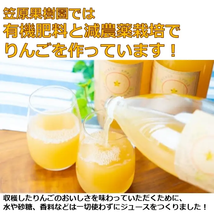 [先行予約2026年12月発送]信州産りんごジュース 1L瓶詰め 6本[箱入り]/笠原果樹園[80-01]