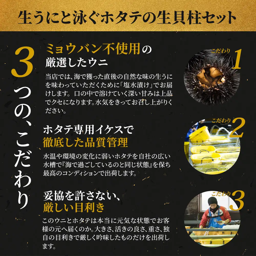 fn-39-016 ＜先行予約！＞ 生うに (80g) と泳ぐホタテの生貝柱 (貝柱4玉) セット 【令和8年5月上旬から7月下旬頃期間限定 お届け便】 ヤマキイチ商店