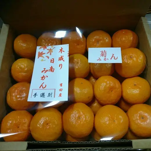 ［先行予約］有田みかん  秀品 5kg　木成り完熟［贈答用］大ちゃんの畑農園