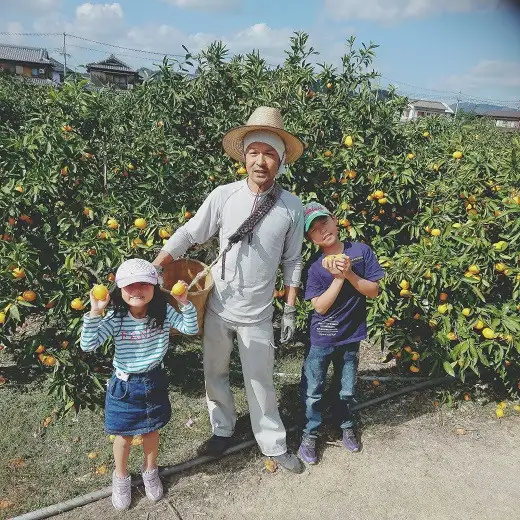 ［先行予約］［ご家庭用］有田みかん  5kg （S～2Lサイズミックス）木成り完熟 大ちゃんの畑農園