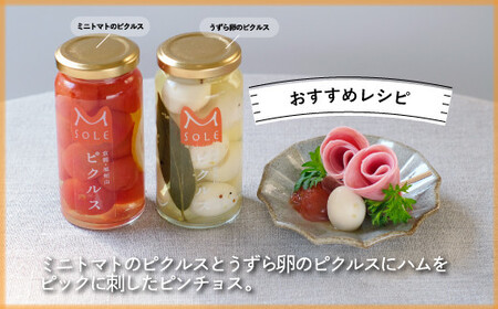 京都・福知山ピクルス (3本セット) ふるさと納税 福知山市 ピクルス 酢漬け 3本セット 野菜 規格外野菜 万願寺とうがらし うずら卵 ミニトマト 【fc-BV002】【エム・ソーレ】
