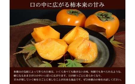  和歌山の 種なし 柿 約7.5kg 秀品 サイズ・品種おまかせ / かき 柿 たねなし柿 和歌山 ※2026年9月下旬～11月下旬頃に順次発送予定(お届け日指定不可)  【kmtb801B】