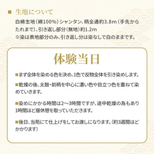 染の里おちあい 染色体験 江戸紅型名古屋帯染め 0004-025-S05