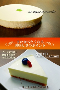 糖質85％カット 低糖質レアチーズケーキ 0007-016-S05