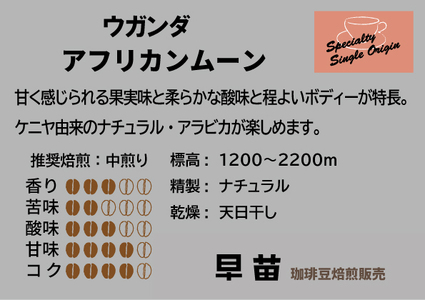 【早苗】焙煎珈琲豆（いつもと違った個性派セット　3種×各100g）豆  0020-003-S05-1