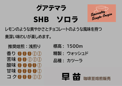 【早苗】焙煎珈琲豆（さわやかな酸味を楽しむセット　3種×各100g）豆  0020-006-S05-1