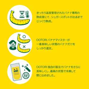 【人気店 新宿OOTORI】極熟★OOTORIバナナの素 100g（5個セット）砂糖不使用 バナナジュース用冷凍バナナ 0033-001-S05