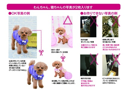 犬猫写真の一筆箋「わんにゃん筆箋」お家の犬猫の写真でオリジナル作成 0039-001-S05