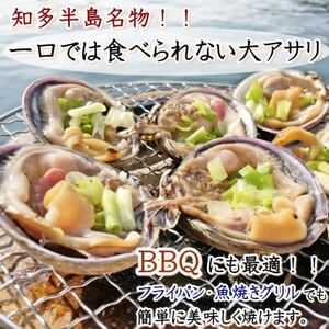 訳あり 大きさ不揃い 大あさり 1kg あさりあさりあさり 岬だより