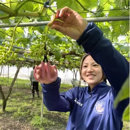 岡山県美作市産　Belleシャインマスカット 2kg(3房～5房)【配送不可地域：離島】【1430610】