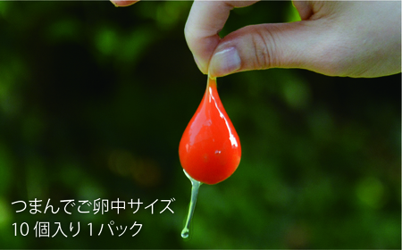 【全12回定期便】《 鶏 の 炭火焼 と ブランド 卵 のセット》緑の農園 満喫セット糸島市 / 緑の農園 [AGA035]