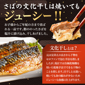 さば文化干し2枚真空×4パック mi0012-0104 ｻﾊﾞ 鯖 干物 文化干し 魚 食品 加工品 おかず 朝食