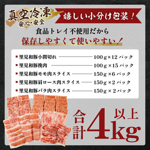 房総ブランド豚（里見和豚）４kg以上　小分け５種　計37パック　 mi0017-0004