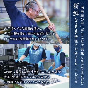 南房総新名物★伊勢海老しゃぶしゃぶ6尾セット mi0020-0004