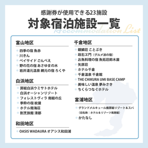 南房総市宿泊施設で利用できる感謝券　旅行チケット mi0023-0002