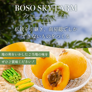 【先行受付 2026年6月上旬～7月中旬発送予定】数量限定！ヤングコーン(ベビーコーン）25本 mi0044-0002 とうもろこし