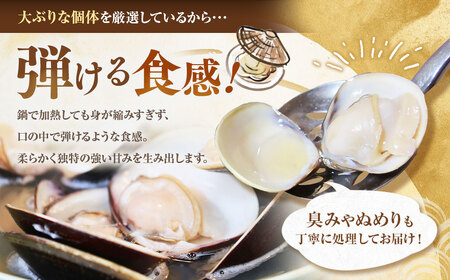 【おまけ約100g】日の出 桑名産 天然はまぐり鍋セット（出汁付）約2人前 蛤 ハマグリ 魚介 貝 魚貝 活はまぐり 海鮮 だし 無添加