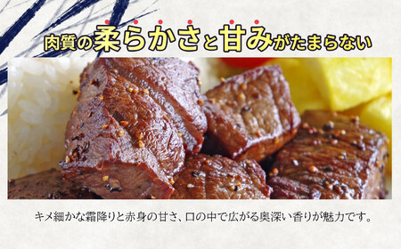 【定期便3回】北方町飛騨牛祭り ステーキ編