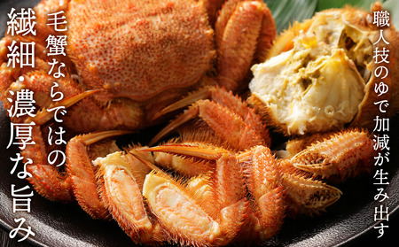 ☆北海道産 毛ガニ 約500g×2尾 セット