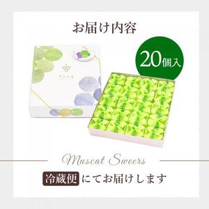 【先行受付】ひとつぶの シャインマスカット 選べる個数 20個入 8月頃～順次発送予定 好評にて夏の定番商品化決定！共楽堂 シャインマスカット もぎたて 夏季限定 晴王 求肥 スイーツ 和菓子 018013