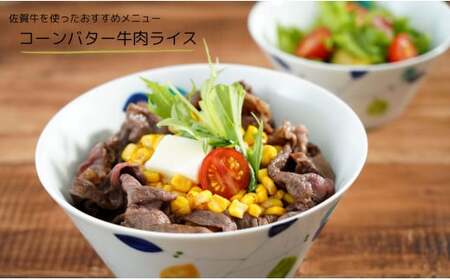 佐賀牛 切り落とし460g【旨味豊富なブランド牛！煮物から炒め物まで多種多様な料理に使える切り落とし肉】N12-17