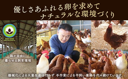 井上さん家 こだわりたまご 平飼い有精卵さがみっこ《かながわブランド認定》10個入り×3パック 計30個｜たまご 平飼い 有精卵