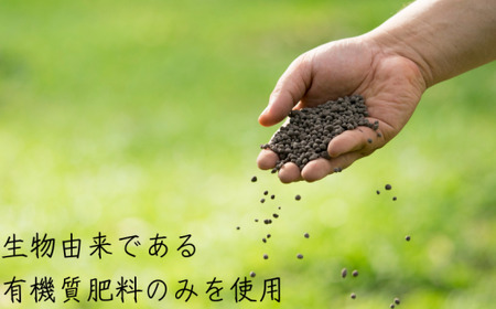 温州みかん 「小粒っこ」 10kg (極早生・早生・中生・晩稲)【2S～3Sサイズおまかせ】【2026年10月中旬～2027年2月下旬までに順次発送】＜味好農園＞/温州 みかん 小玉 蜜柑 柑橘 みかん 極早生 早生 中生 晩稲 小粒 果物 フルーツ 【agy004-s-10】