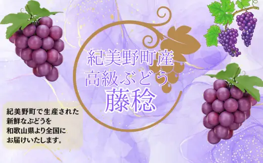  【8月下旬に発送】ジューシーな高級ぶどう 約2kg(3~5房)/ぶどう 藤稔 黒ブドウ 果物 くだもの フルーツ 有機 【kmf004】
