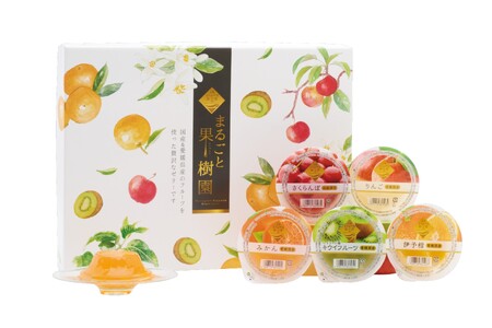 ゼリー ギフト 詰め合わせ 12個 お中元 愛媛県 みかん キウイ 伊予柑 青森産 りんご 山形産 さくらんぼ フルーツゼリー 果物 果汁 果実 フルーツ おやつ デザート 夏ギフト お取り寄せ なめらか 口溶け 子供 大人 国産 食品 送料無料 | B156