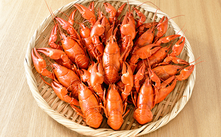 【唯一無二】レイクロブスタースープ 160g×3 スープ ロブスター 簡単 魚介 小分け 常温 時短 レトルト 北海道 阿寒 F4F-2567