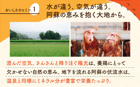 【全12回定期便】赤たまご M玉 90個（85個＋5個割れ保証）【株式会社 かもと養鶏】タマゴ 玉子 熊本県 卵 国産 新鮮 あかたまご M玉  濃厚   [ZCA016]