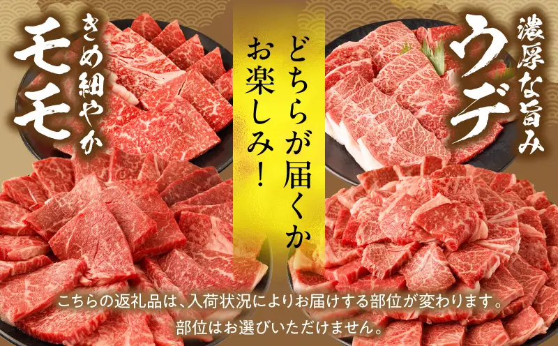 牛肉 宮崎牛 ウデ・モモ 赤身 焼肉 1kg 牛肉