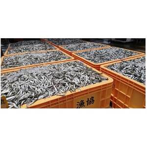 真いわし甘露煮 佃煮 150g(5～7尾)×5P 豊浜産イワシ つくだ煮街道