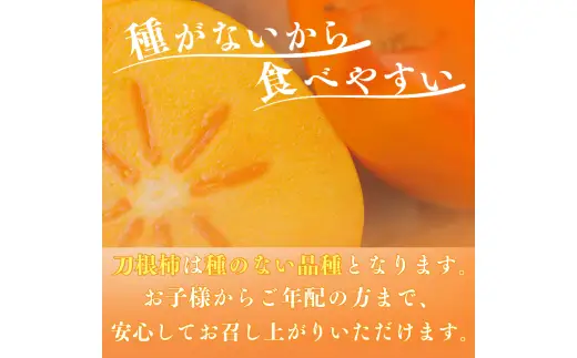 刀根柿 約 7.5kg※箱込み 家庭用 / カキ  甘い 種なし 美味しい 秋の味覚 和歌山県 紀美野町 ※2026年9月下旬～10月上旬に順次発送【frt504-c-tone-7d5】