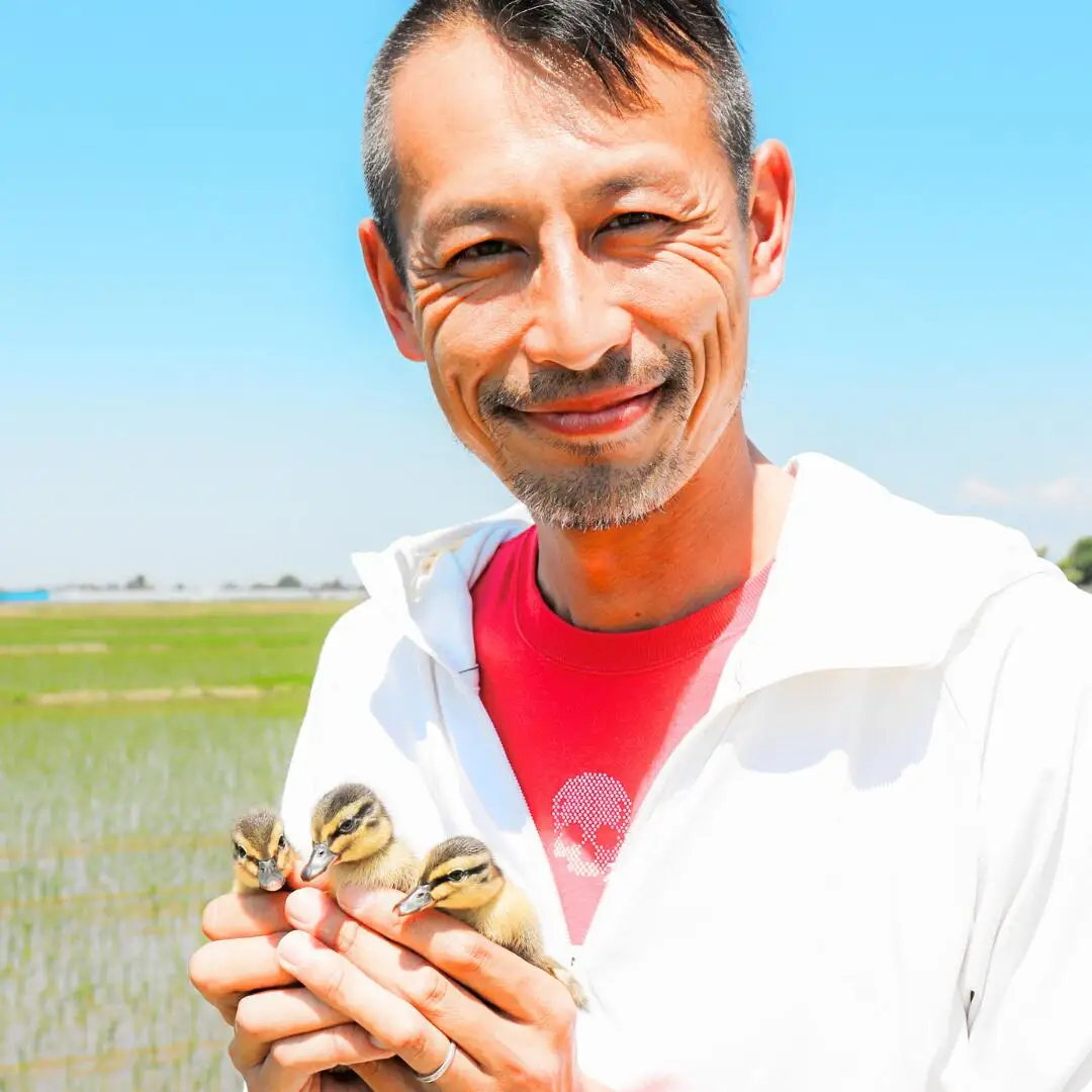 純米大吟醸 原酒「三条の風」 720ml 1本 日本酒 新潟県 数量限定 五百万石を使用 【011S138】