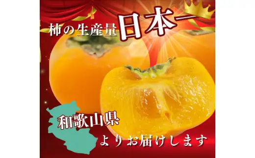 紀ノ川柿  約3kg2L~4L(サイズおまかせ) 秀品 / カキ 甘い 美味しい 紀美野町産 ※2026年10月中旬～11月上旬に順次発送 【frt504-r-kino-3】