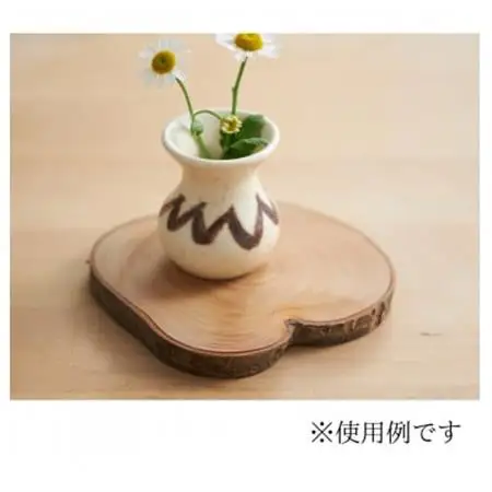 岩泉の森の樹のプレートLL～3Lサイズ2枚set_雑貨・日用品  家具・インテリア _【1426747】